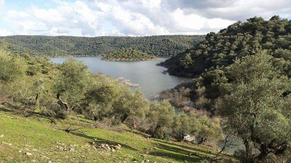 Casas Rurales El Balcon De La Brena Almodóvar del Río Zewnętrze zdjęcie